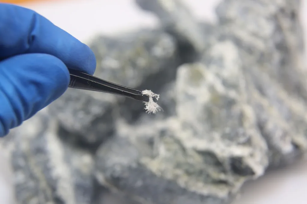 Asbestos Management and Removal Services this image shows a hand in protective blue gloves hold tweezers with asbestos fibres