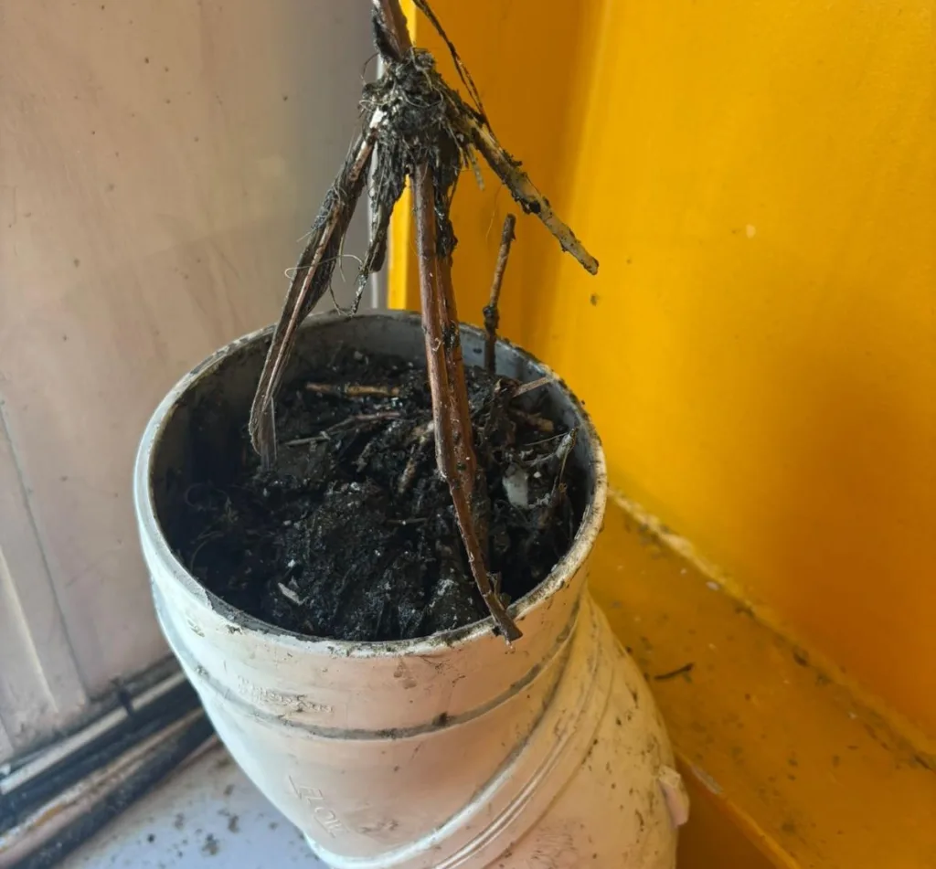 Stay Ahead Of Potential Water Damage this image shows pipework completely blocked with debris