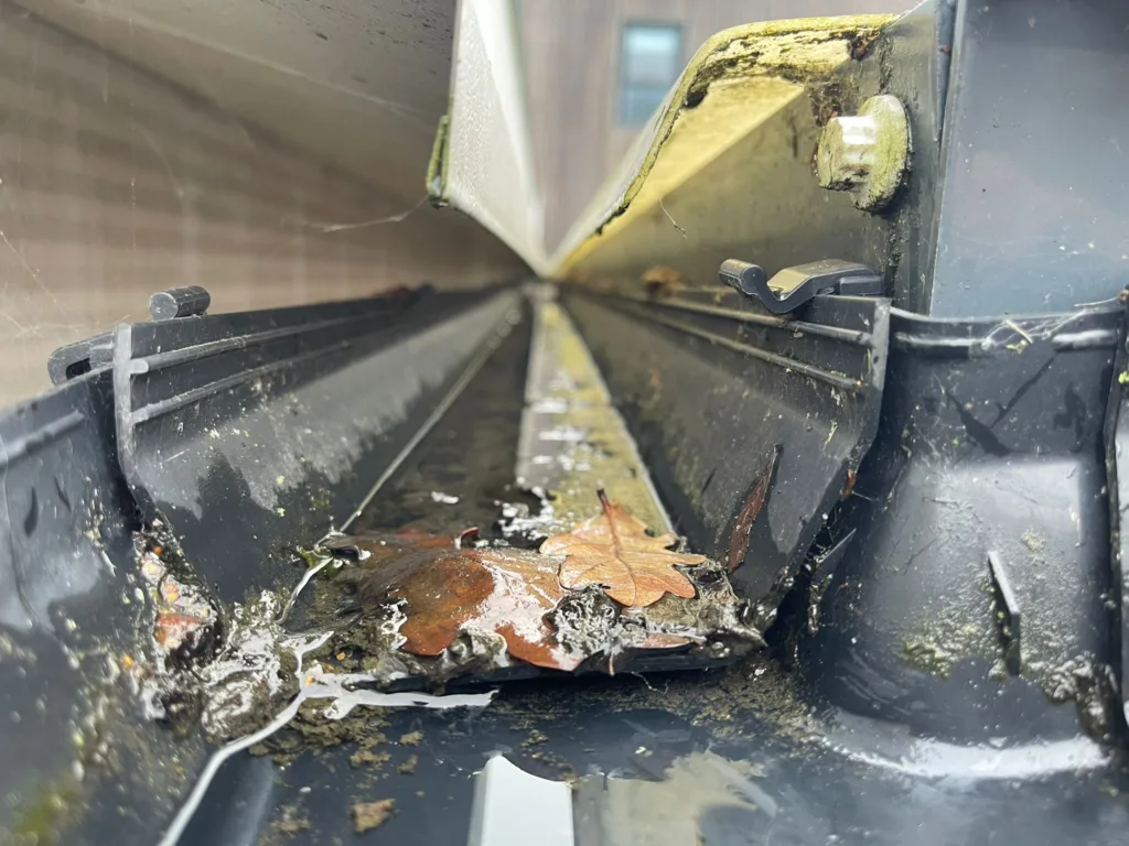 Stay Ahead Of Potential Water Damage this image shows debris in gutters